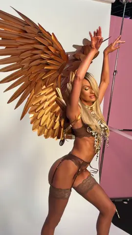 Reminding ourselves it’s a workday. Failing. Thanks, @Candice. #VSFS #VictoriasSecret #vsfashionshow 