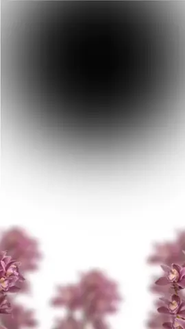 شيلة فرحة الملكة فيها الخل لاقاء الخليل _ شيلة عقد قران باسم عبدالمجيد ورحاب #شيلات #شيلة_ملكة #عروسين باسم #عبدالمجيد_ورحاب #حماسية 