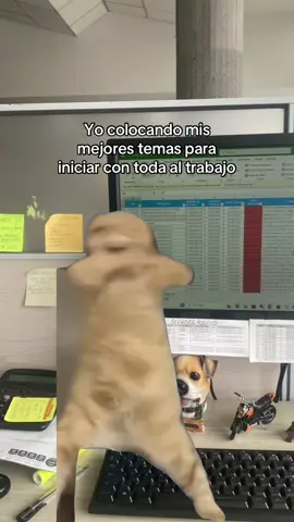 #MemeCut  #Meme #viral #humor #foryoupage 