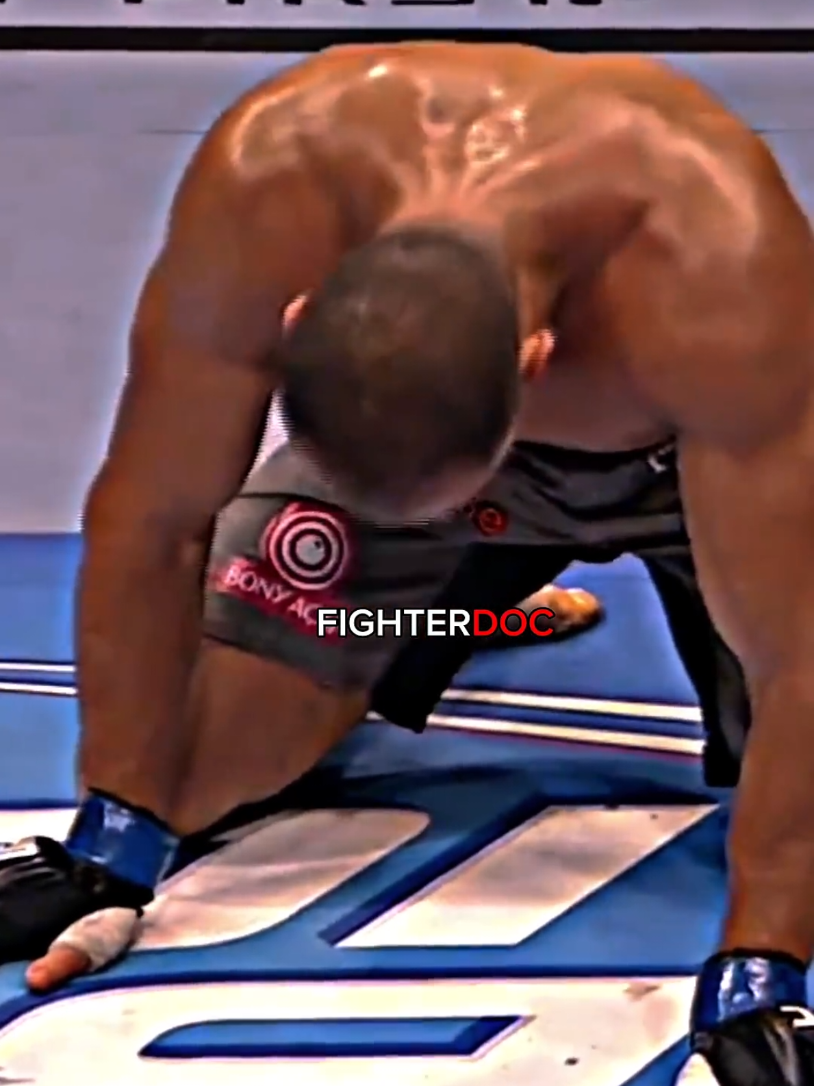 JUNIOR CIGANO X MIRKO CRO COP  . . . #UFC #mma #mirkocrocop #juniorcigano 