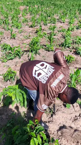 #creatorsearchinsights 