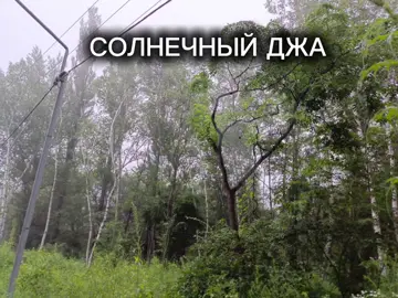 #апфс #кишлак #teamwork #cupcut 