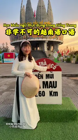 Học khẩu ngữ tiếng Trung 越南语口语#小雨老师的越南语录播视频课 #tiếngtrung #跟小雨学越南语 