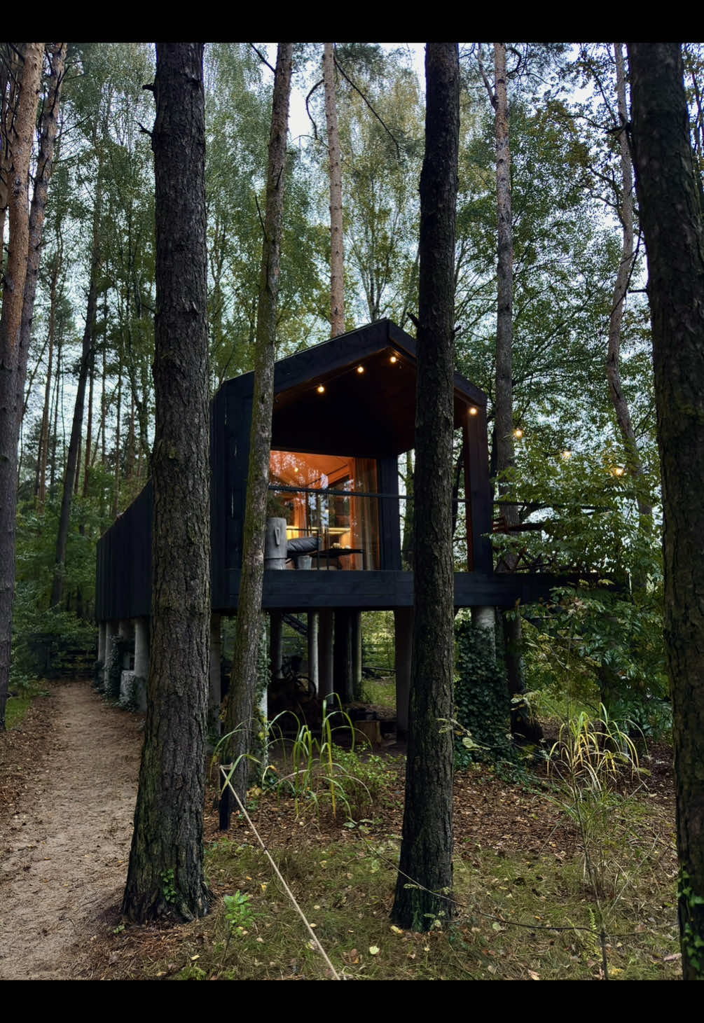 Takie widoczki w  📍Sosnowa Kryjówka,  Jamborek Łódzkie  A jeśli chcecie się tam wybrać to podrzucam Wam link do rejestracji na @AlohaCamp Polska który po zarejestrowaniu daje 100 zł rabatu. Możecie też przy rejestracji wypisać kod “klaudiaventure”🫶✨ https://r.alohacamp.com/klaudiaventure #uniquetravel #cabin #cabininthewoods #sauna #jacuzzi 