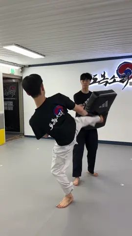 뒤늦게 유행 노래 따라하기🔥 #taekwondo #kicks #태권도 #발차기 #추천 