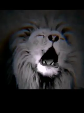 #عبارات #تصميم_فيديوهات🎶🎤🎬تصميمي🔥 #عباراتكم_الفخمه📿📌 #اقتباسات #لايك_متابعه_اكسبلور 