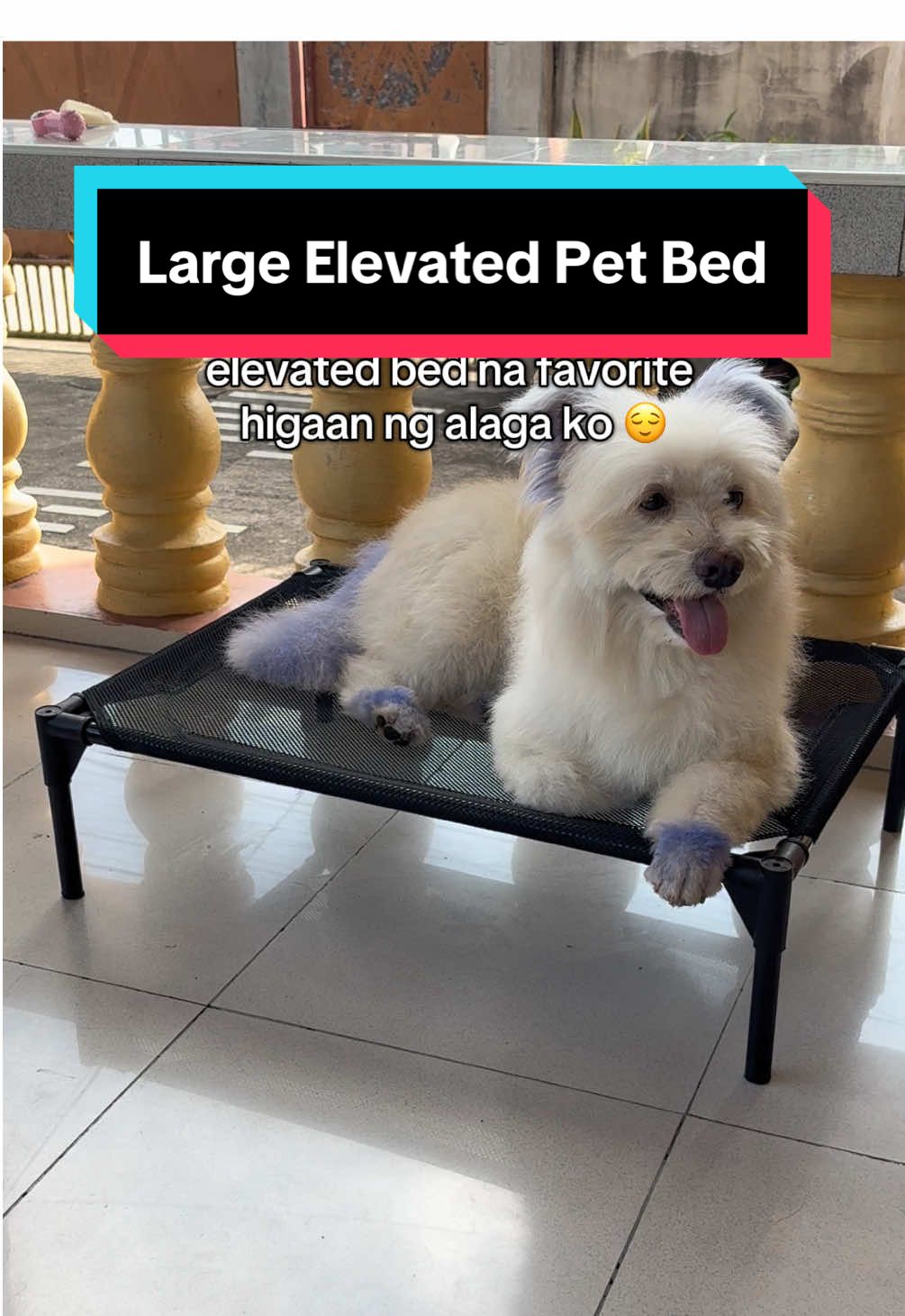 matibay at preskong bed para sa mga furbabies natin ☺️ #elevatedpetbed #dogbed #petelevatedbed #doglover #PetsOfTikTok 