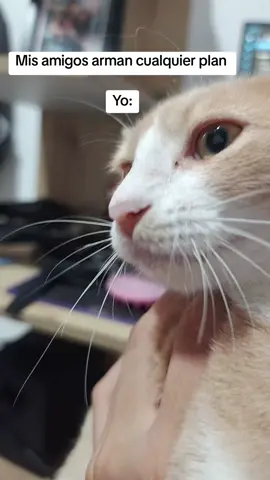 dejen inventar tanta salida 😡