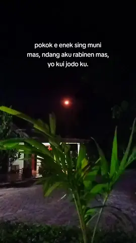 pokoke enek sing muni#storywa #bismillahfyp #katakata #xyzbca #fyp @TikTok 