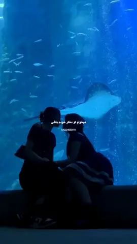 یه جمله برا اونی که دوسش داری بنویس! 💙