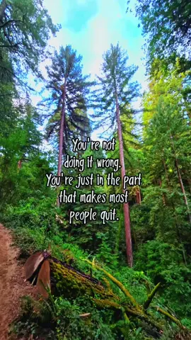 #awakeningprojectfam #taputwa #progressandawakening #showupwithlove #theheartoflifeisgood Please follow all the creators mentioned here: @Emma♡TAP.Wa @angelahemmings415  @The Meditating Viking @awakegreenberet @ProgressOverPerfection @Jessica Haley @Letmeflyu2themoon 