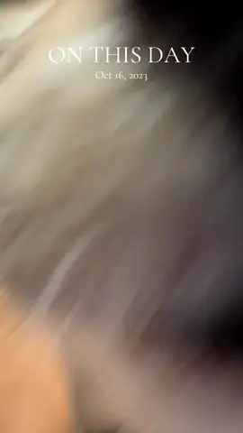 #onthisday 