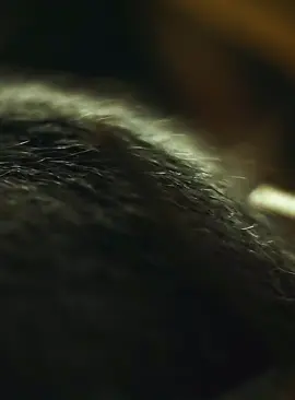 #fyp #wildlife #animalsworld #foryoupage 