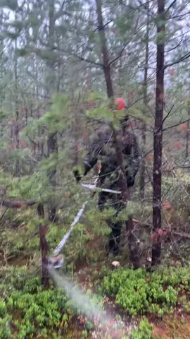 👨🏻‍🚒🇫🇮🇺🇦#finland #forest #stihl #workforest #huskvarna 
