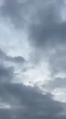 Hana cara mnyoe lagenyoe geulayang😂😂😂😂🤣🤭