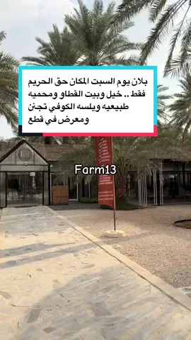المكان يجننننننن اعتمدناه حق الشتا farm13 #فعاليات_قروب_بنات_العين #العين #اكسبلور #مرحبا_الساع💜 #farm13 