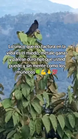 #viajandoporelmundo #paisajesnaturales #echeleganasmijo #paratiiiiiiiiiiiiiiiiiiiiiiiiiiiiiiiiii #hagaplatamijoydisfrute 