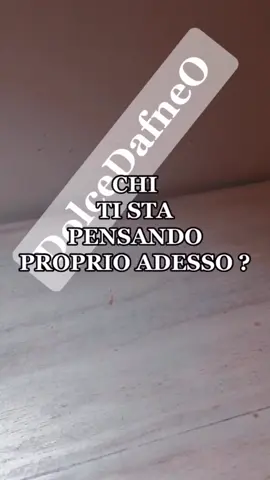 #Dolcedafne0 #tarocchi #cartomante #cartomanzia 