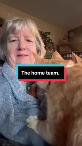 The pumpkin team has provided excellent physical therapy treatments throughout my cancer journey. I attribute my success and continued well-being to their unfailing dedication and skill. #foryoupage #breastcancer #catsoftiktok #funnycat 