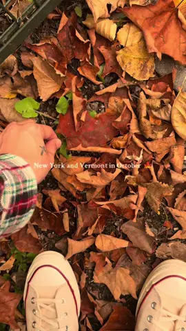 Already missing the crisp air, hoodies, creamies and crunchy leaves 🤎 #fallvibes #autumnaesthetic #vermontfall #upstatenewyork #octobervibes 