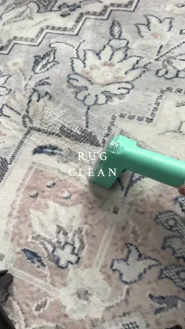 Rug Clean 🫧 #spotcleaner #CleanTok #rugclean #tiktokmademebuyit #redhut 