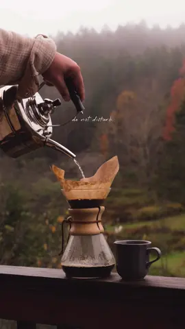 the absolute perfect morning: foggy, rainy, in a cabin in the woods, yummy coffee ☕️✨🤎 #pluviophile #falltok #coffeetiktok #cozyvibes #foggy 