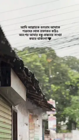 এইতো ৮০০ দিন আগের কথা বন্ধু বান্ধব এর অভাব ছিল না 🙂 #for #foryoupage 