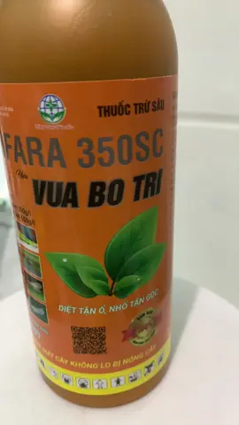 Mọi người cần vào tham khảo #TikTokAwardsVN #thevampirediaries #xuhuongtiktok2023 #tiktokviral 