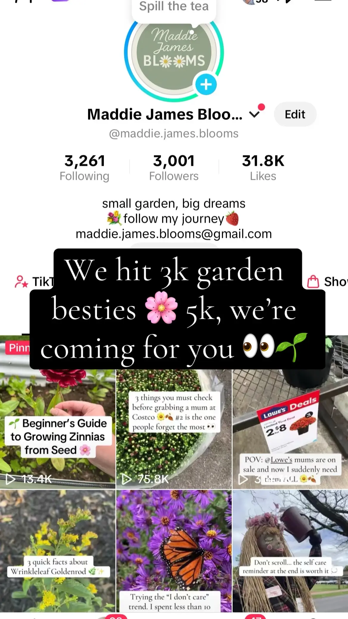 Let’s get this garden account to 5k besties❤️ #roadto5k #gardentok #backyardgardening #thankyou #NativePlants 