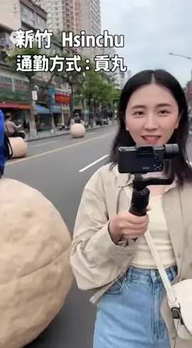 交通工具??? #sora 