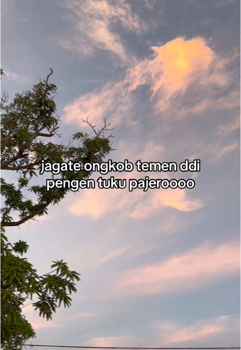 kipas lima bli kerasa#indramayu #indramayupride🏴‍☠️ #lagutarling_indramayu_cirebon #fy 