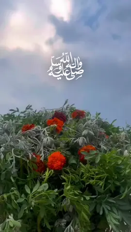 اللهم صل وسلم على نبينا محمد ﷺ❤️🌿