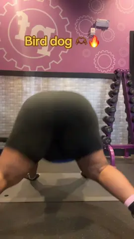Bird dogs #birddog #calisthenics #strengthtraining #planetfitness #fyp 
