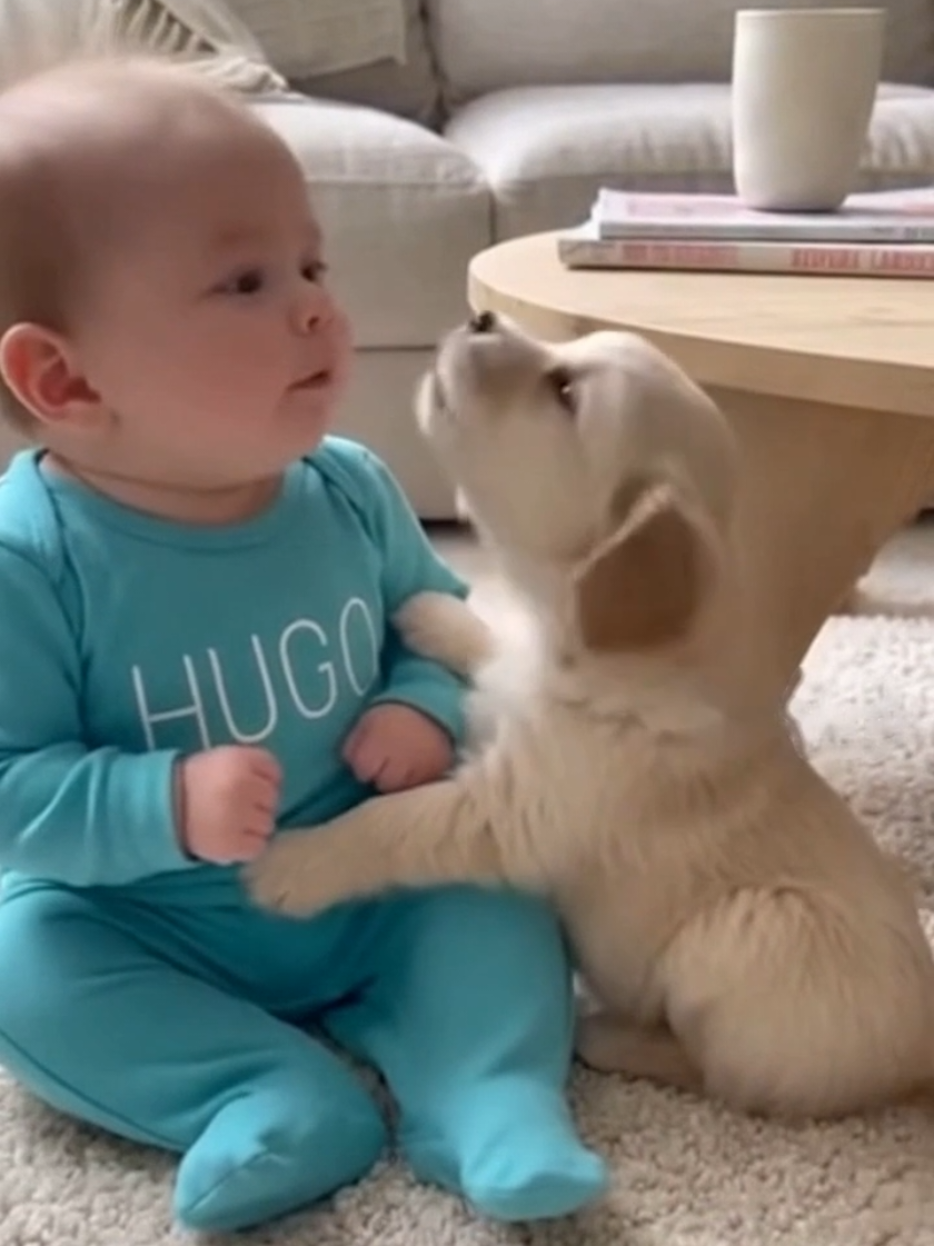 Bébé Hugo joue avec son nouveau chien #baby #foryoupagе #live #humour #france 