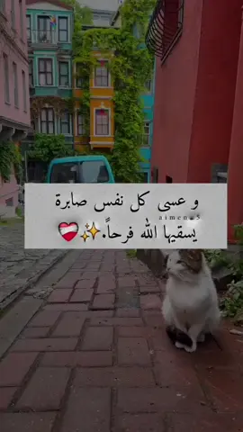 يارب 🤍🍂#راحة_البال_وهدوء_النفس🥀🖤 #الحمدالله_علی_کل_حال❤ #خواطر 