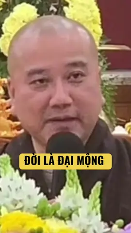 Đời là đại mộng #phatphapnhiemmau #thichphaphoa #binhantrongchanhnniem 