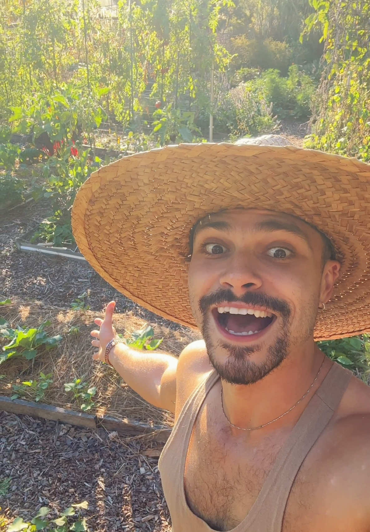 The summer #garden is coming to an end 🥲☀️✨ #farmlife #abundance 