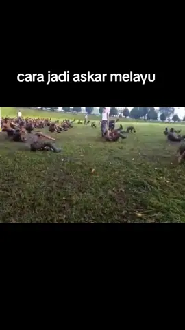 cara jadi askar sebenar #tenteralautdirajamalaysia #tenteradaratmalaysia #paskau #tenteraudaradirajamalaysia 