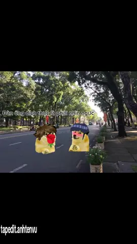 Pov:khi bn quá xinh đẹo🫦#xuhuong #chems #moitapedit #xuhuong 