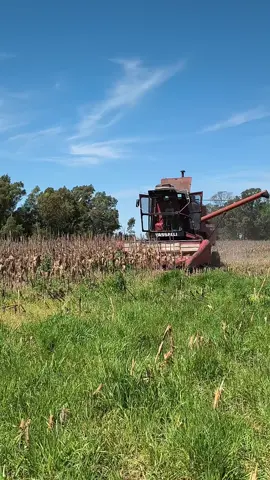 se me va piolon la 900💪🏻✈️