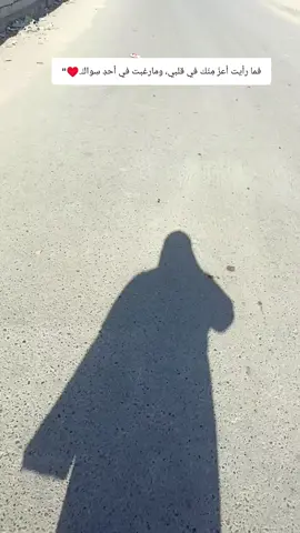 #صلاح #الدين #بجواري #🫶🫣