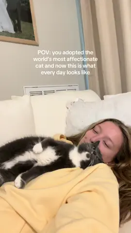 Replying to @ryandhabi so blessed 😭 being her mom and safe place is the greatest honor #catmom #catperson #catsoftiktok 