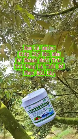 Đạm Cá Amino, Giúp Cây Bật Mầm, Đẻ Nhánh Nuôi Trái, Trị Vàng Lá Thối Rễ, Phục Hồi Cây #datmetalaxyl #vtnn #thuocbvtv #phuchoicay 