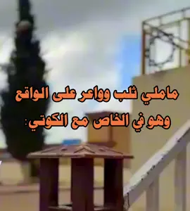 مش اسفه💔😍#الشعب_الصيني_ماله_حل😂😂 #foryoupage #fyp #foryou #يوميات_طالبه_جامعيه 