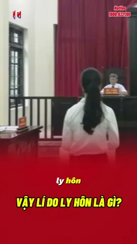 Lí do là gì vậy? #lyhon #dichvulyhonnhanh #honnhan #xuhuong #luatsu 