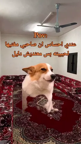 #مالي_خلق_احط_هاشتاقات 