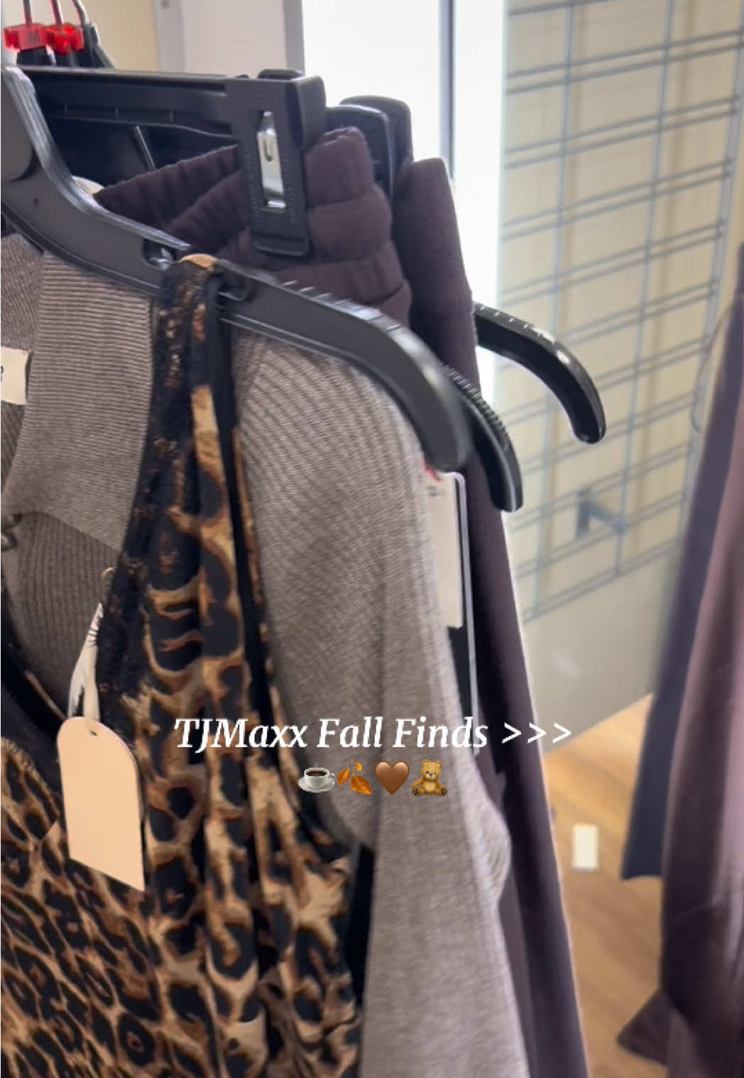 Took almost everything 🤭🤎#tjmaxx #tjmaxxfinds #fallfashion #shopping @TJ Maxx 