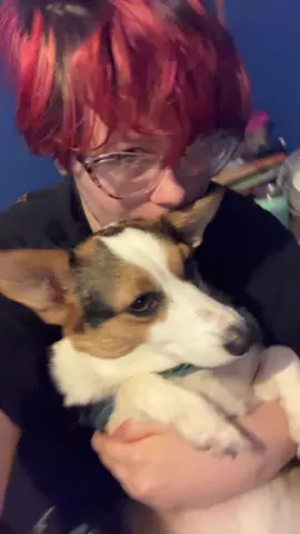 When you remember Liam Payne has been gone for a whole year now, Rip Liam Payne, you have are missed by not just me but all your fans, and your family and the rest of one direction, I still can’t be he is really gone and it has been a year now #Dog Last video for S’mores for now and last out of cosplay video for good for today(10/16/25), no promises on if I film tomorrow(10/17/25) but I am planning on it, we will see if I feel like it or not 