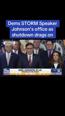 Dems STORM Speaker Johnson's office as shutdown drags on #trump #donaldtrump #republican #capitolhill #mikejohnson 