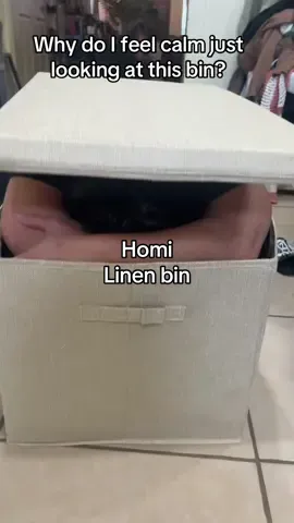Turn your laundry corner into a minimalist dream. 🕊️ Meet the Homi Linen Bin — where style meets function. Grab yours before they sell out! #MinimalHome #AestheticStorage #HomeOrganization #CalmSpaces #organization 